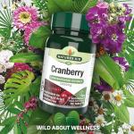 Cranberry Tablets 200mg for Urinary Support
