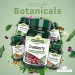 Cranberry Tablets 200mg for Urinary Support