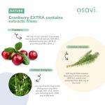 Osavi Cranberry EXTRA – 120 Vegan Capsules