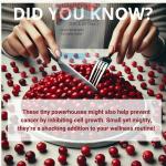 High Strength Cranberry Extract for Urinary Health