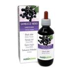 Alcohol-Free Black Elderflower and Elderberry Drops 200ml