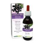 Alcohol-Free Black Elderberry Liquid Extract Drops 120ml