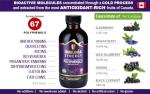 Elderberry Immunity Booster Supplement - Natural Antioxidant