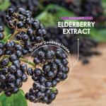 High Strength Organic Elderberry Extract 7500mg Capsules