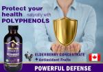 Elderberry Immunity Booster Supplement - Natural Antioxidant
