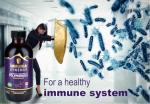 Elderberry Immunity Booster Supplement - Natural Antioxidant