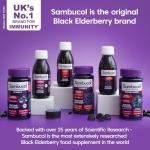 Sambucol Black Elderberry Immune Support Syrup 120ml