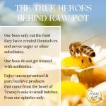 Organic Elderberry & Propolis Syrup for All Ages