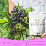 Elderberry 5:1 Extract 1,000mg Vegan Tablets