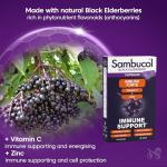 Sambucol Black Elderberry Immune Support Capsules
