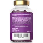 Black Elderberry Gummies for Kids - 2500mg Vegan