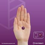 Black Elderberry Gummies with Vitamin C & Zinc