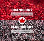 Cranberry & Elderberry Urinary Health Concentrate