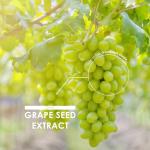 Grape Seed Extract 3000mg - 180 Vegan Tablets
