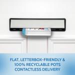 Grapefruit Seed Extract Capsules for Candida Relief