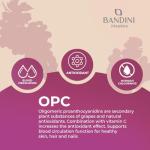 Bandini® Grape Seed Extract with Vitamin C - 200 Capsules