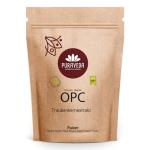 Premium 95% OPC Grape Seed Extract Powder 100g