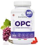 Bandini® Grape Seed Extract 365 Capsules, High Strength
