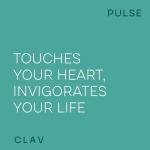 Blood Pressure Support Supplement with Grape Seed Extract