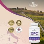 Bandini® Grape Seed Extract 365 Capsules, High Strength