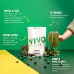 Vivo Life Supergreens Vegan Superfood - Blueberry & Lucuma