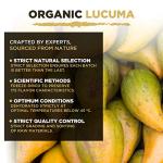 MySuperfoods Organic Lucuma Powder - Antioxidant Boost