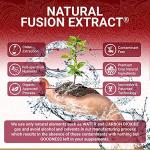 Organic Pomegranate Capsules for Health Enthusiasts