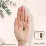 High Strength Pomegranate Extract 11,250mg Tablets