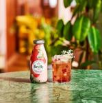 Firefly Pomegranate & Elderflower Fruit Juice 12-Pack