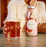Firefly Pomegranate & Elderflower Fruit Juice 12-Pack