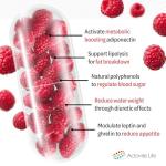 Raspberry Ketones 3200mg - 60 Slimming Capsules