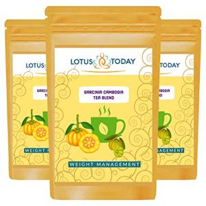 Garcinia Cambogia Herbal Tea Blend, 63 Tea Bags