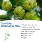 Garcinia Cambogia Pure Detox for Weight Management 120 Caps