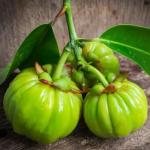 100% Natural Garcinia Cambogia for Cooking, 100g