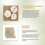 Garlic White Casablanca Seeds - Easy to Grow