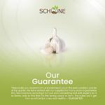 Garlic White Casablanca Seeds - Easy to Grow