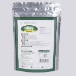 Giloy Powder for Immune Support and Digestion
