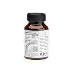 Giloy Extract Veg Capsules, 450 mg, 60 Count