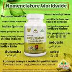 Guduchi Capsules for Immune Support and Wellness