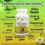 Guduchi Capsules for Immune Support and Wellness