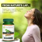 Giloy Guduchi Extract Capsules 700mg - 120 Veg Caps