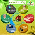 Pure Guduchi Giloy Powder for Wellness
