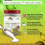 Pure Guduchi Giloy Powder for Wellness