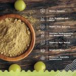 Organic Amla Powder 200g - Rich in Antioxidants