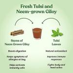 Kapiva Wild Tulsi Giloy Juice 1L for Immunity