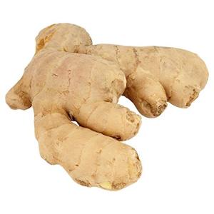 Fresh Ginger Roots - Tropical Rainforest - 250g