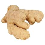 Fresh Ginger Roots - Tropical Rainforest - 250g