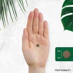 High Strength Ginkgo Biloba 12,000mg - 180 Vegan Tablets