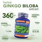 Ginkgo Biloba 6000mg with B3 & B5, 360 Tablets