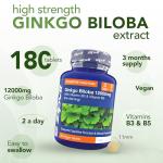 High Strength Ginkgo Biloba 12000mg, 180 Vegan Tablets